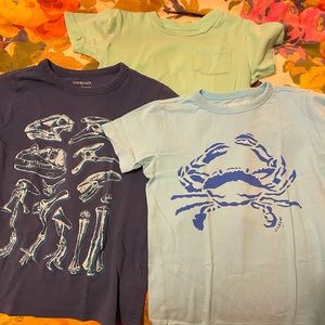 J.Crew Crewcuts lot of 3 Toddler boys tshirts, size 4T-5T, super soft!